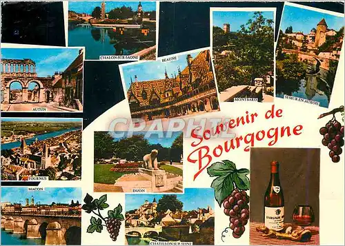 Cartes postales moderne Souvenir de Bourgogne