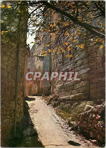 Cartes postales moderne Les Belles Images de Provence Vieille rue Typique