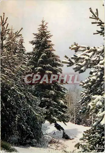 Cartes postales moderne Les Vosges Pittoresque Premieres neiges