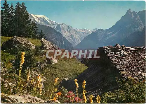 Cartes postales moderne Les Alpes en couleurs naturelles Refuge de berger en haute montagne