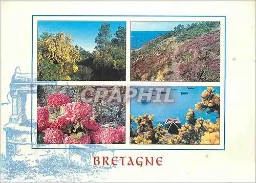 Moderne Karte Couleurs de Bretagne Genet bruyere bortensia et ajonc