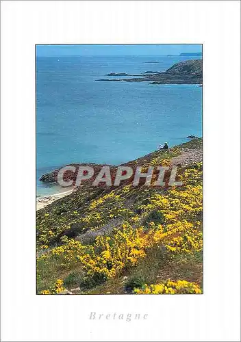 Cartes postales moderne Bretagne