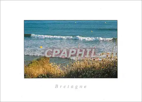 Cartes postales moderne Eb Bretagne Rivage