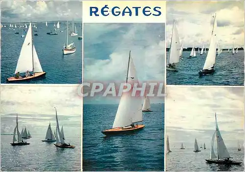 Cartes postales moderne Bretagne en couleurs Regates en Couleurs Bateaux de diverses categories Requin Dragon Caneton Ba