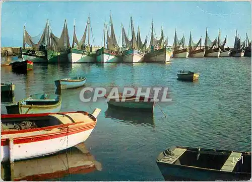 Cartes postales moderne Port de Peche sur la Cote Bretonne Bateaux
