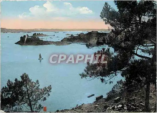 Cartes postales moderne Ile de Brehat La Cote sauvage