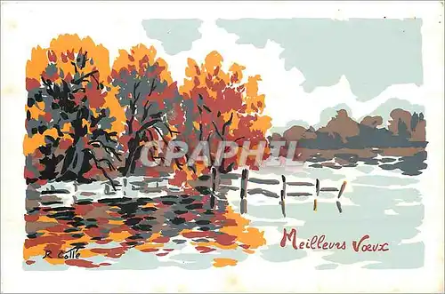 Cartes postales moderne Meilleur Voeux