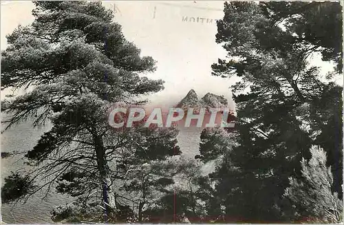 Cartes postales moderne La Seynes sur mer (Var) Le Rocher des deux Freres