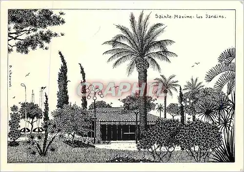 Cartes postales moderne Sainte Maxime Les Jardins