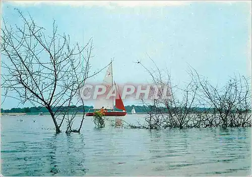 Cartes postales moderne Parc Naturel Regional de Lorraine au pied des cotes de Meuse l'etang de Madine (Voile canoe Kaya