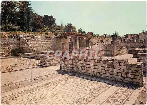 Moderne Karte Vaison la Romaine (Vaucluse) Le Pompei Francaise La Maison des Messii et Mosaique de Laraire