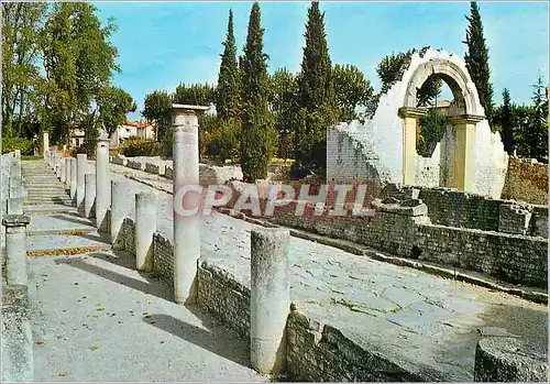 Cartes postales moderne Vaison la Romaine (Vaucluse) Fouilles du Quartier de la Villasse Une rue et la Porte de la Basil