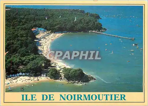 Moderne Karte Ile de Noirmoutier (Vendee) La plage des Dammes et le bois de la Chaise