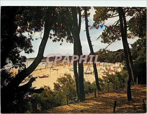 Cartes postales moderne Ile de Noirmoutier (Vendee) Plage de Sableaux