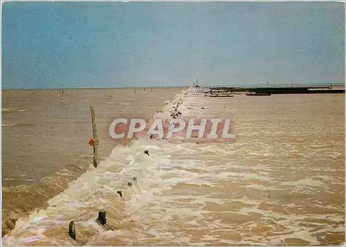 Cartes postales moderne Ile de Noirmoutier (Vendee) Le Passage du Gois Chaussee de 4 5 km qui relie l'ile au cotinent