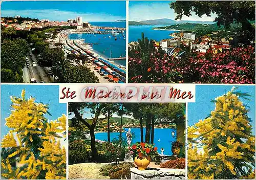 Cartes postales moderne La Cote d'Azur Sainte Maxime sur Mer (Var) La Promenade et la Plage vue generale la Baie