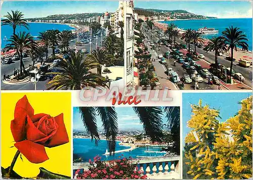 Cartes postales moderne La Cote d'Azur Nice La Promenade des Anglais