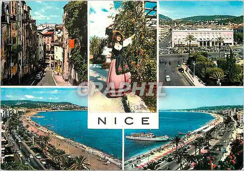 Cartes postales moderne Nice La Cote d'Azur