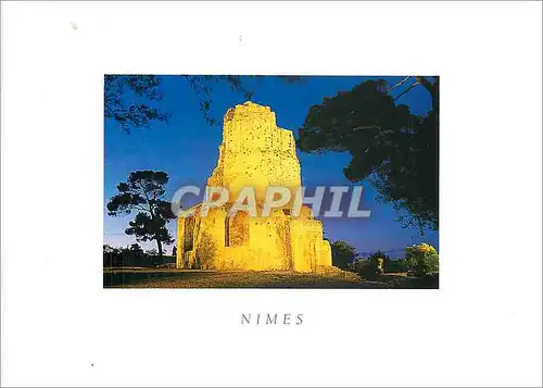 Cartes postales moderne Nimes (Gard) L Y Loirat