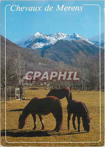 Moderne Karte En Parcourant l'Ariege Les chevaux de Merens