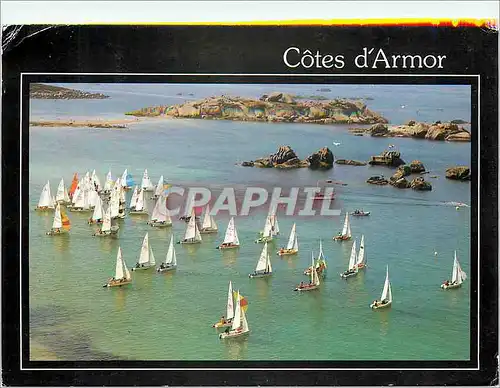 Cartes postales moderne Cote d'Armor Reflets de la Bretagne Une regale dans les boules de granit