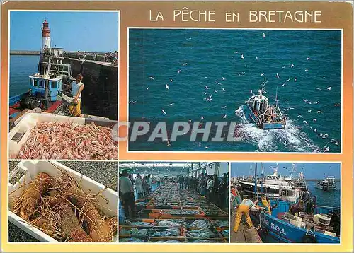 Cartes postales moderne Couleurs de Bretagne Retour de peche