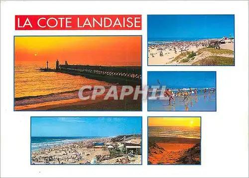 Cartes postales moderne La Cote Landaise Le Lann Olivier Anger