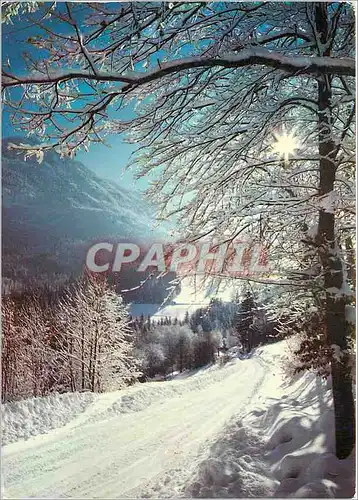 Cartes postales moderne Beaute de l'Hiver en Auvergne Effets de givre