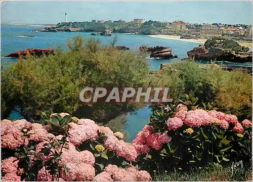 Moderne Karte Biarritz (Pyr Atl) Pays Basque Vue generale