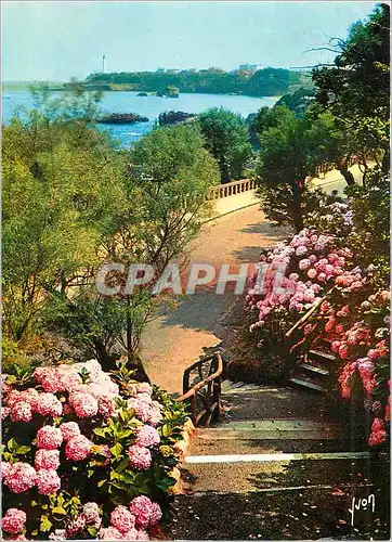 Cartes postales moderne Biarritz (Pyr Atl) La Cote Basque Promenade sur le Promontoire de l'Atalaye a travers les horten