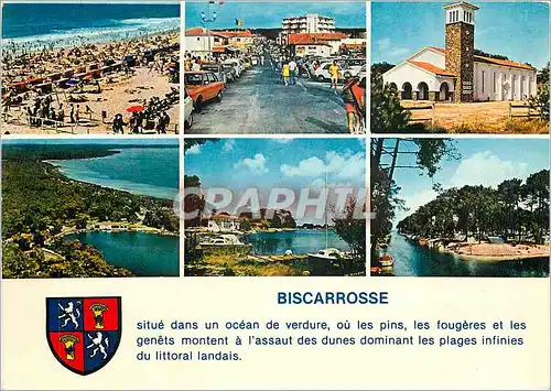 Cartes postales moderne Biscarrosse situe dans un ocean de verdure