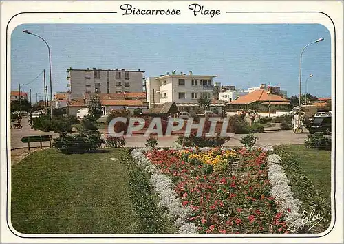 Cartes postales moderne Biscarrosse Plage Les allees Fleuries