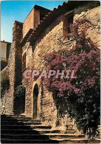 Cartes postales moderne La Cote d'Azur Varoise Bormes les Mimosas (Var) Coin pittoresque