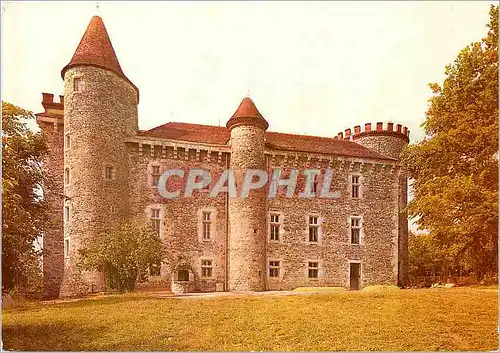 Cartes postales moderne Chateau de Codignat Chateau Hotel de France Bort l'Etang