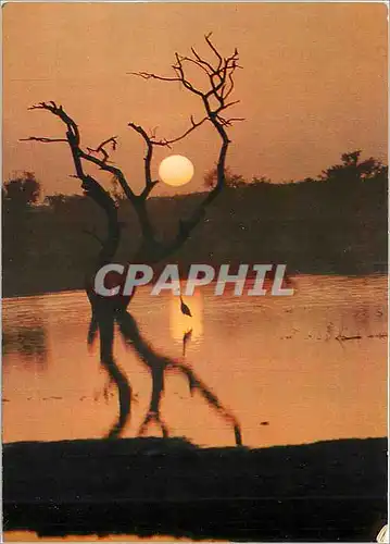 Moderne Karte Republique de Cote d'Ivoire Coucher de soleil sur la Lagune