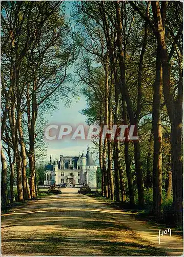 Moderne Karte Couleurs et Lumiere de France Val de Loire Chenonceaux Magnifique allee conduisant au chateau