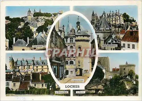 Cartes postales moderne Loches (I et L) Vue generale Porte des Celestins Le ch�teau Royal Le donjon