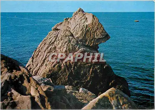 Cartes postales moderne Presqu'il Guerandaise Le Rocher de l'Ours sur la Grande Cote