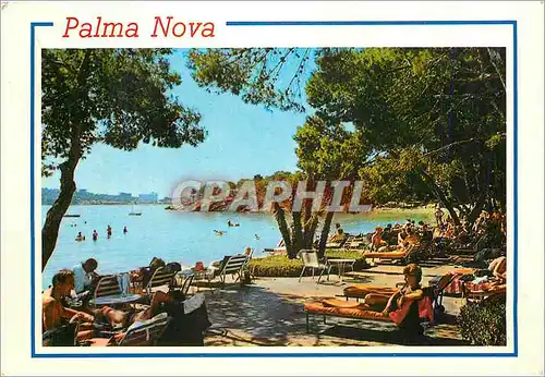 Cartes postales moderne Mallorca (Baleares Espana) Palma Nova Detaille