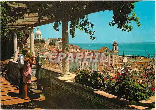 Cartes postales moderne Lisboa Portugal Belvedre Sainte Luzia Alfala