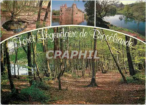 Moderne Karte Couleurs de Bretagne la Foret de Broceliande La Foret legendaire et le chateau de Trecesson