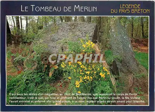 Moderne Karte Couleurs de Bretagne Legende du Pays Breton (Foret de Broceliande)