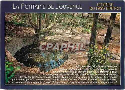 Moderne Karte Couleurs de Bretagne legende du pays Breton (Foret de Broceliande) La Fontaine de Jouvence