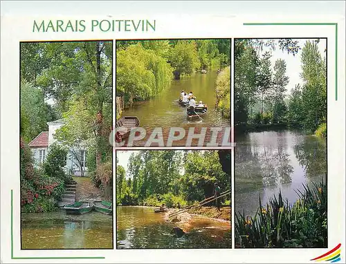 Cartes postales moderne Images de France le Marais Poitevin Deux Sevres Oasis de Clme et de Verdure