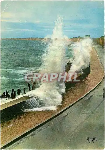 Cartes postales moderne Bretagne Cote d'Emeraude Saint Malo Cite Corsaire