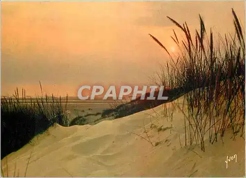 Moderne Karte La Cote d'Opale Coucher de Soleil dans les Dunes