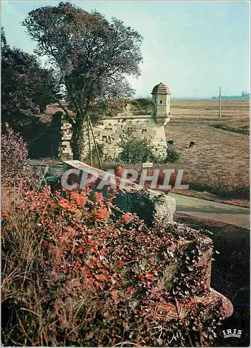 Cartes postales moderne Brouage (Ch Mme) Ancienne place Forte et port de mer rival de la Rochelle