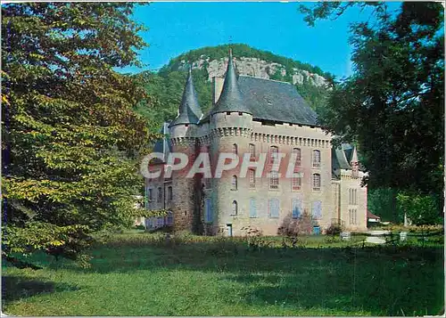 Cartes postales moderne Le Bugue (Dordogne) Le Chateau de Campagne