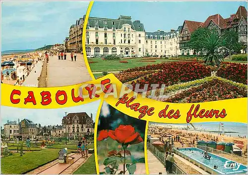 Cartes postales moderne Cabourg (Calvados) Le Front de mer les jardins du Casino le golf miniature la piscine