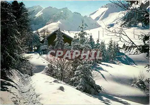 Cartes postales moderne Sports d'Hiver en Auvergne Le chalet du club Alpin au pied du Sancy (1886 m)